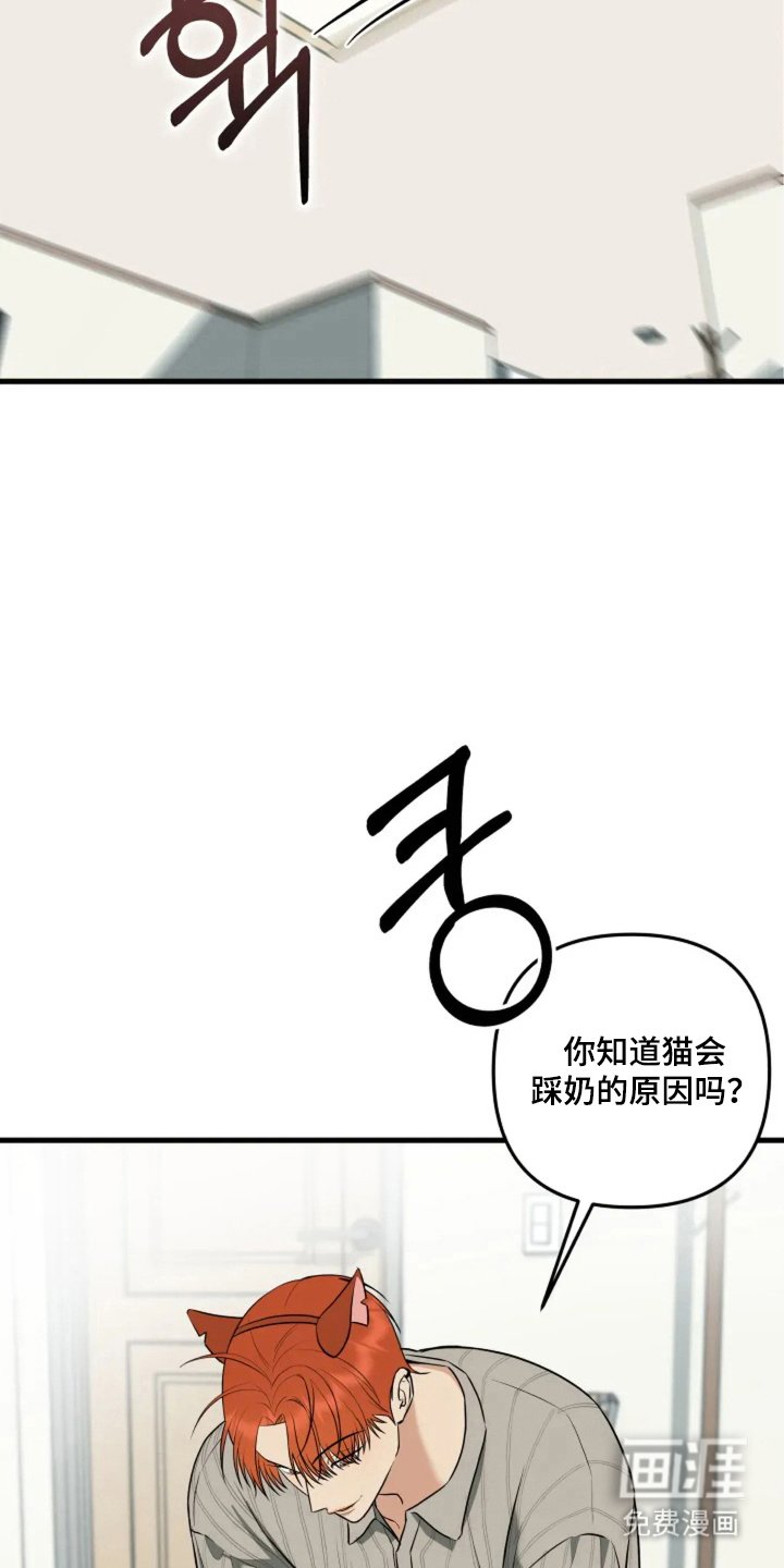 第10章：猫咪