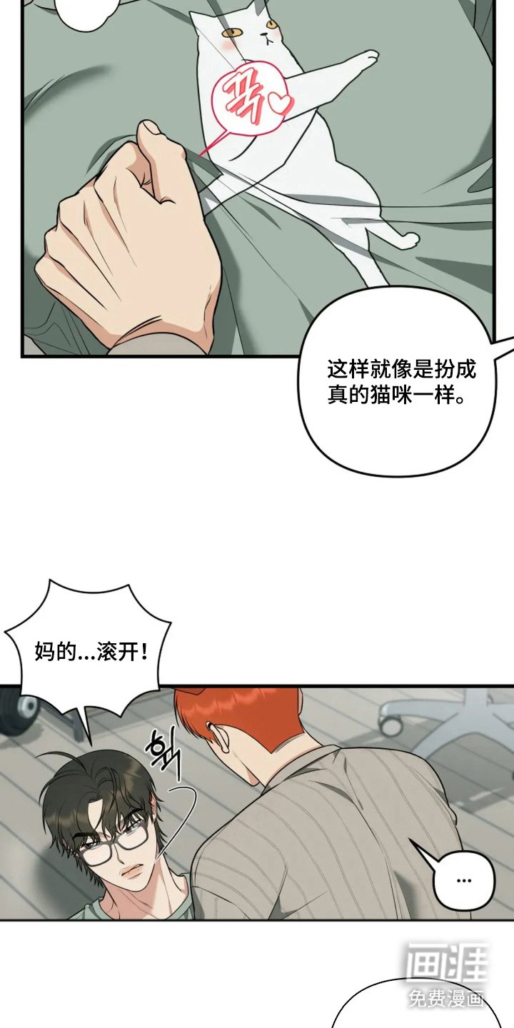 第10章：猫咪