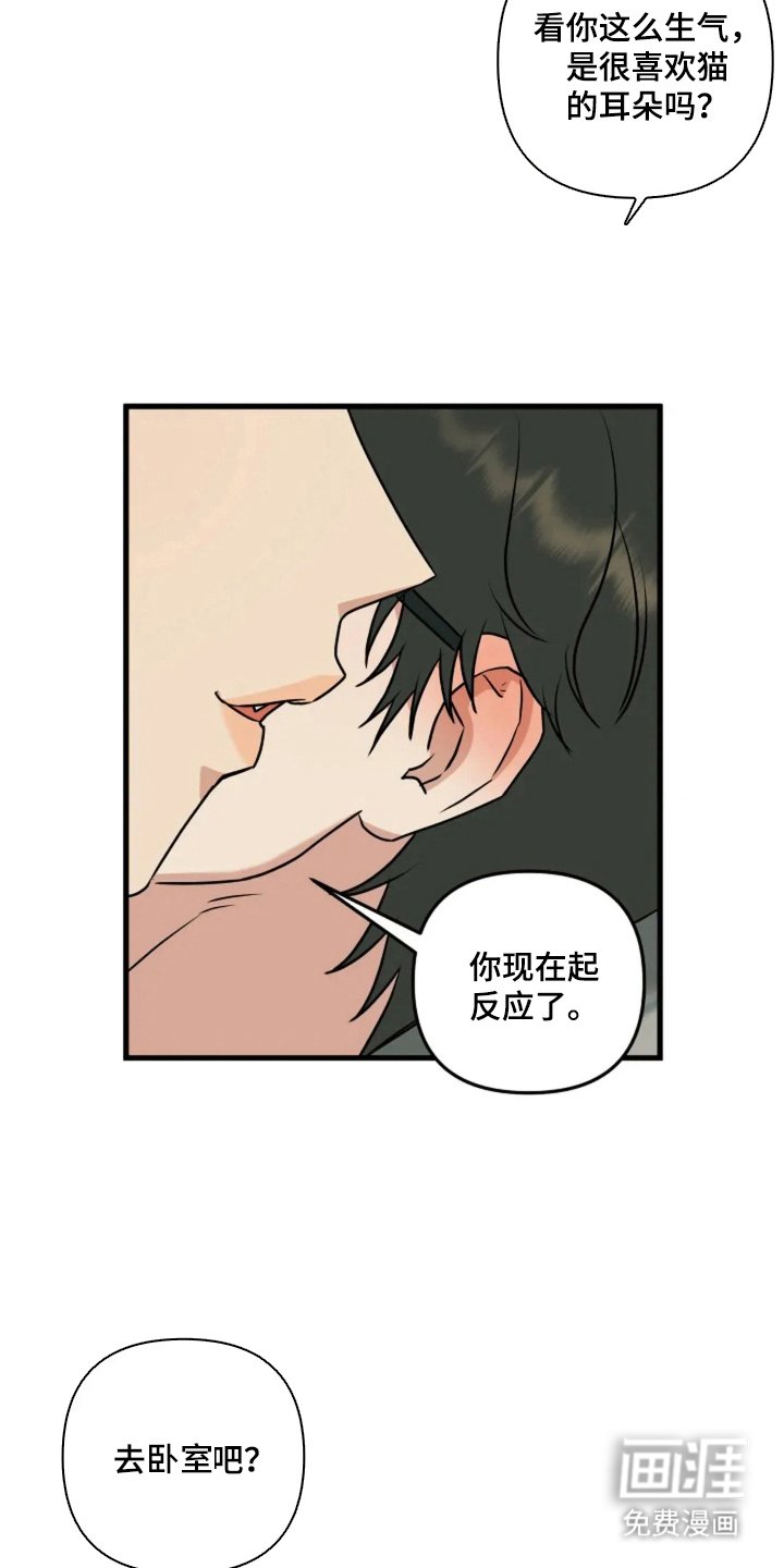 第10章：猫咪