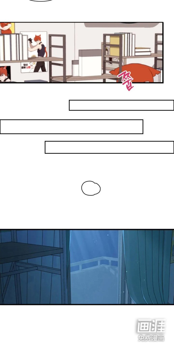 第10章：猫咪