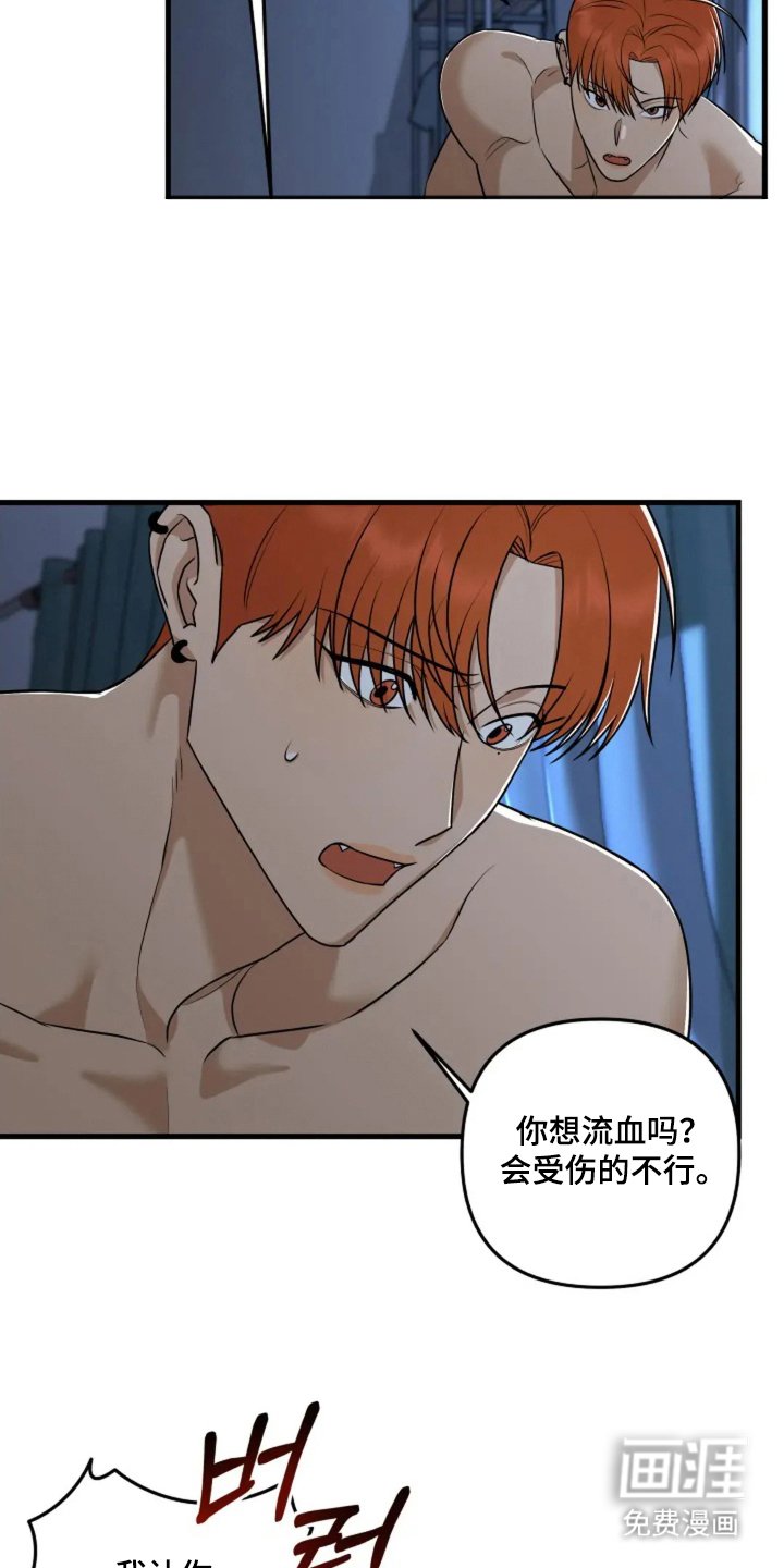第13章：到此结束