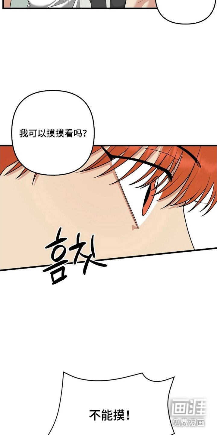 第14章：不可以