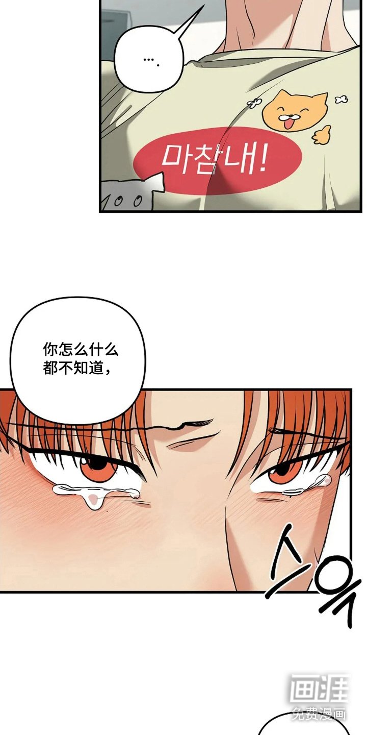 第15章：我可以
