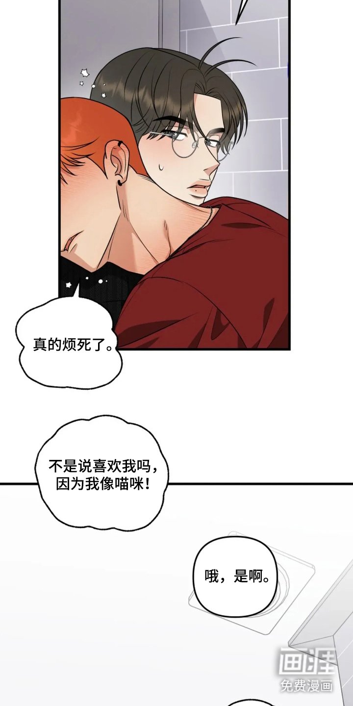 第21章：好好保护你