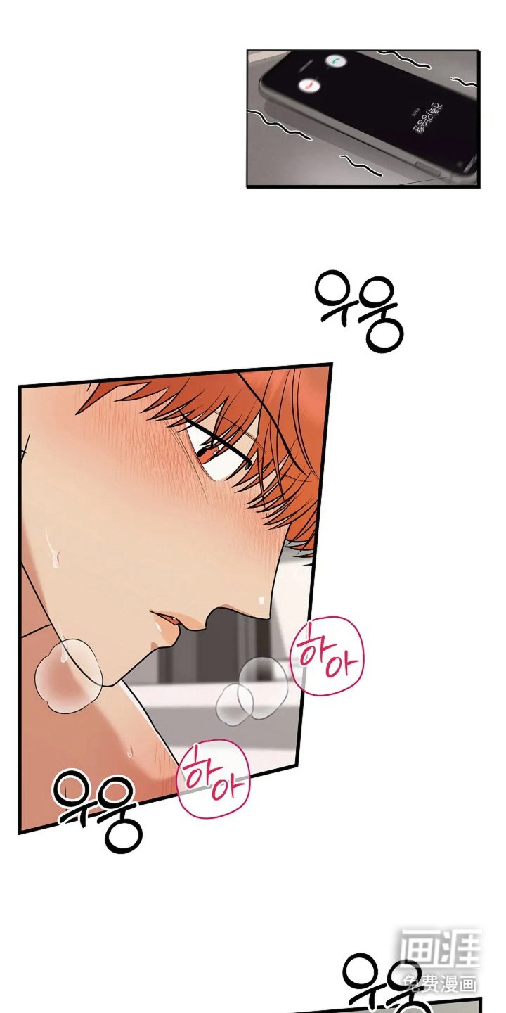 第23章：预备男友