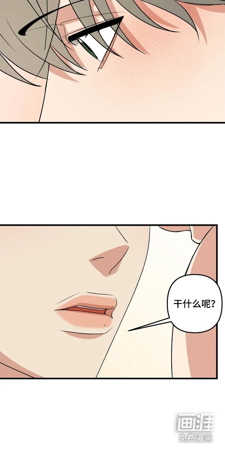 第26章：不可惜吗