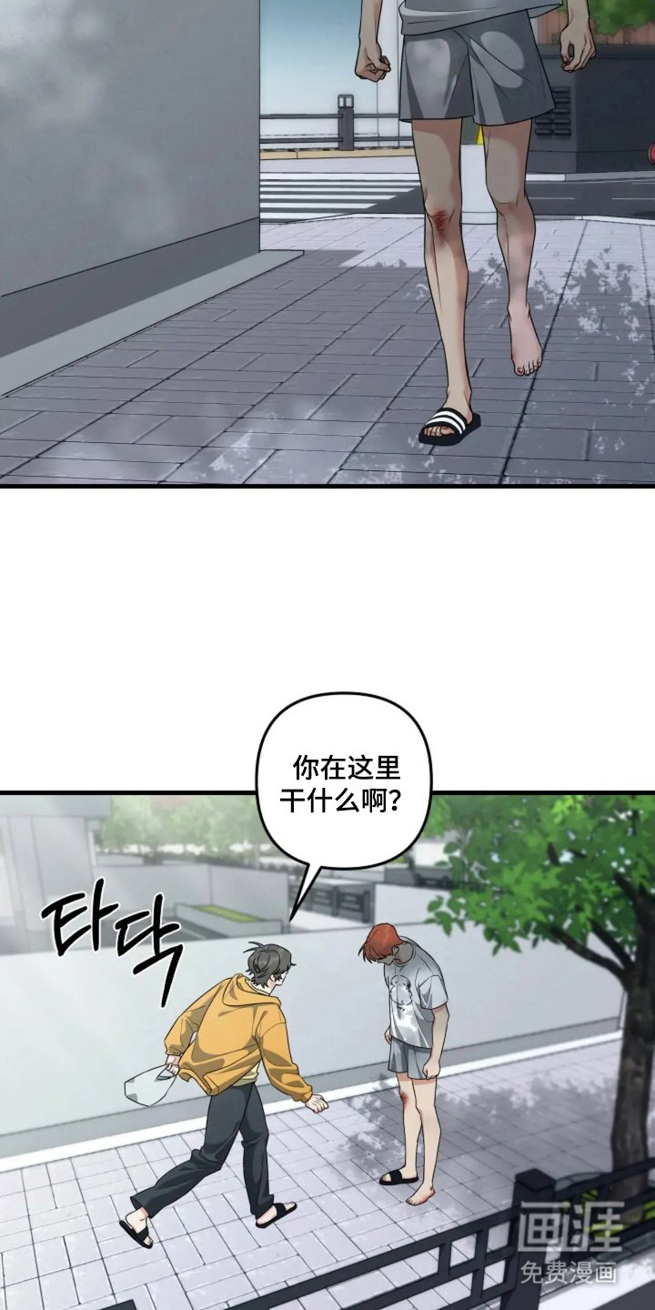第29章：心跳