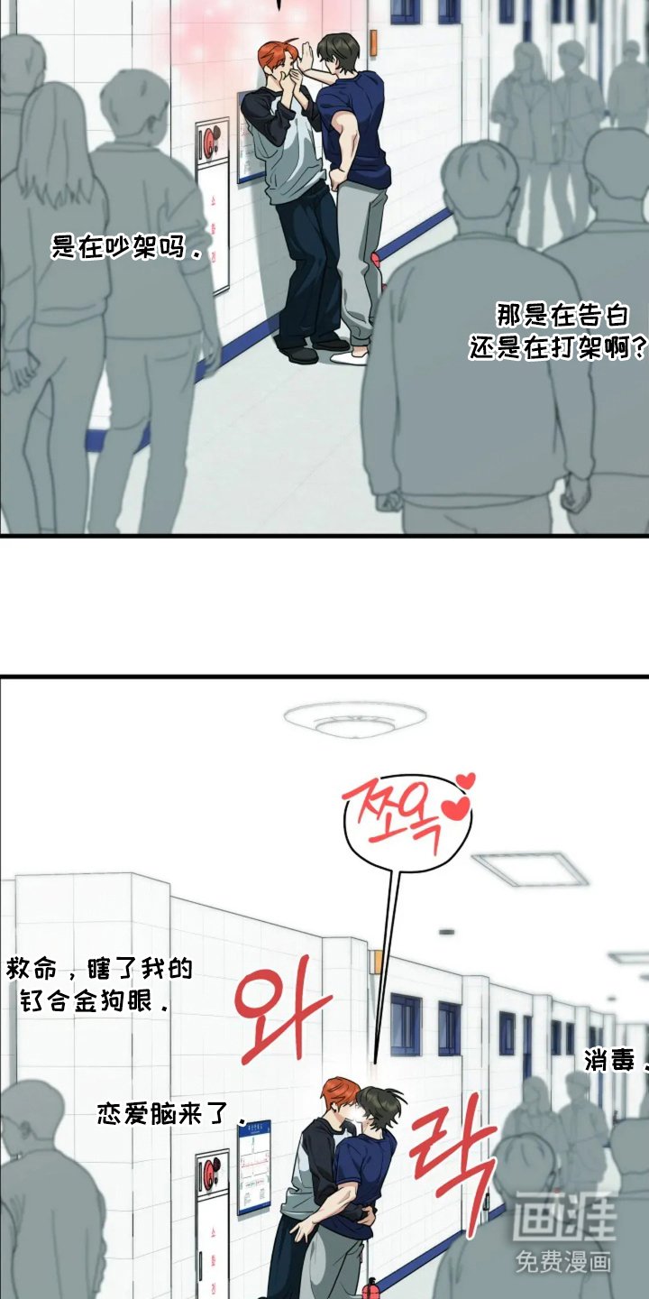 第31章：恋爱脑（完结）