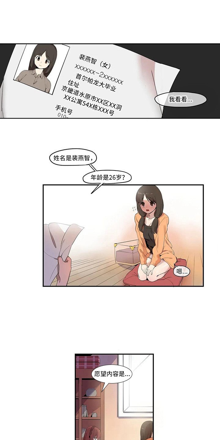 第3章：宠物