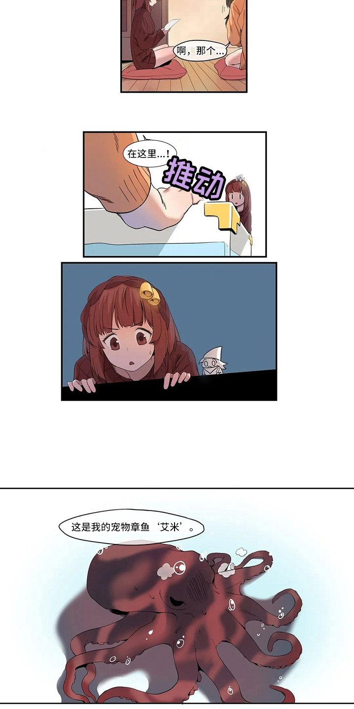 第3章：宠物