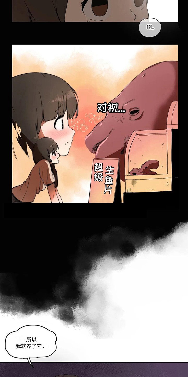 第3章：宠物