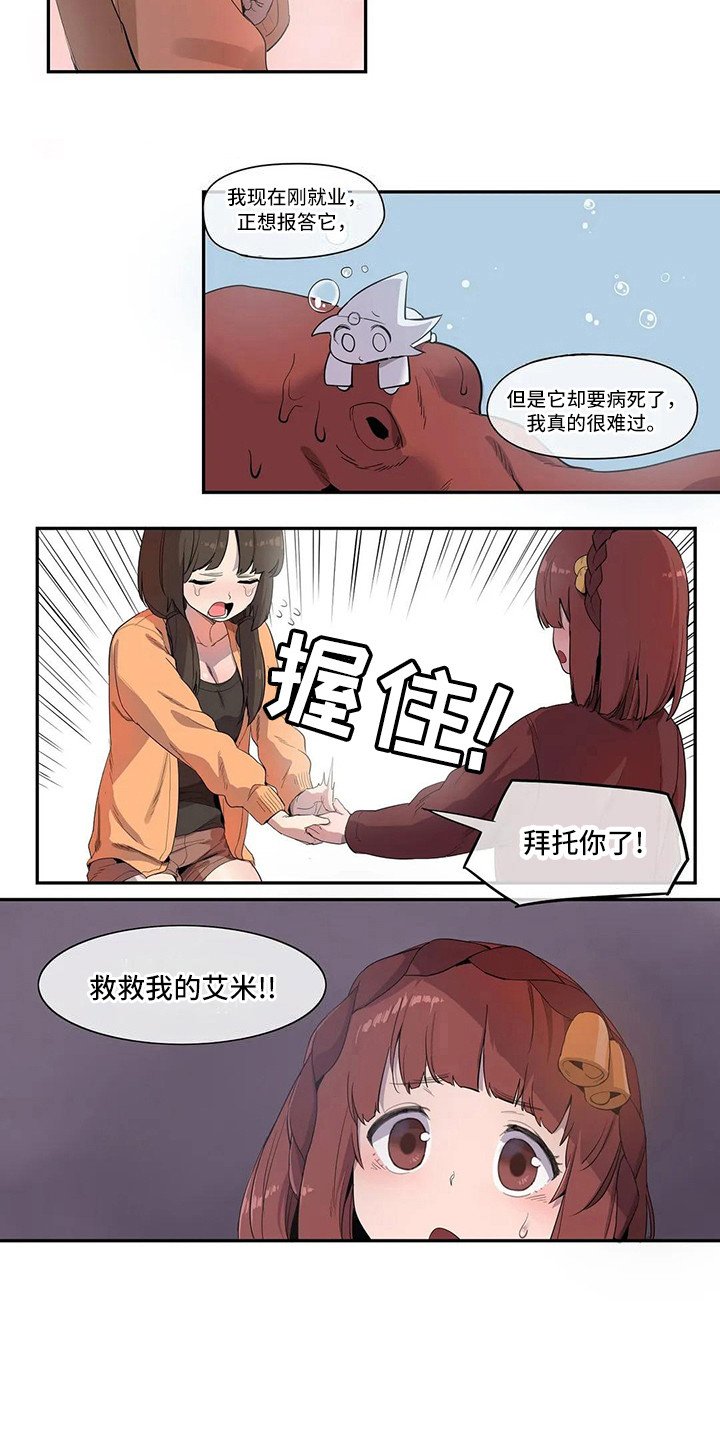 第3章：宠物