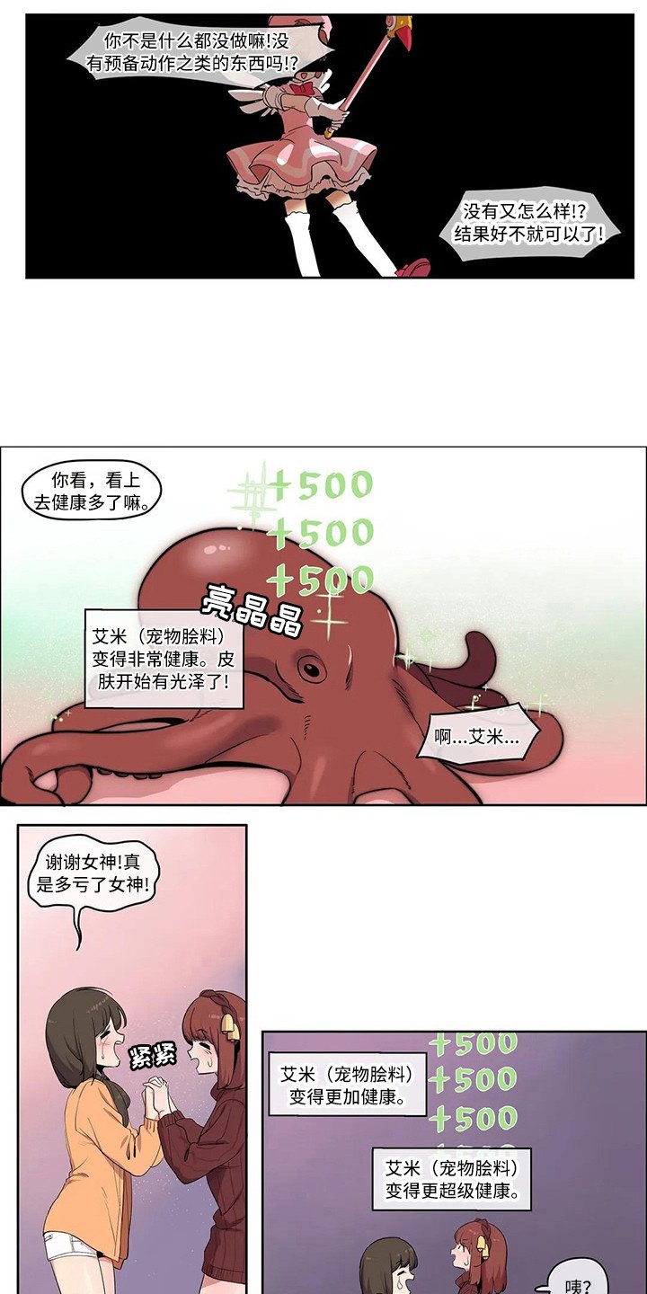 第3章：宠物