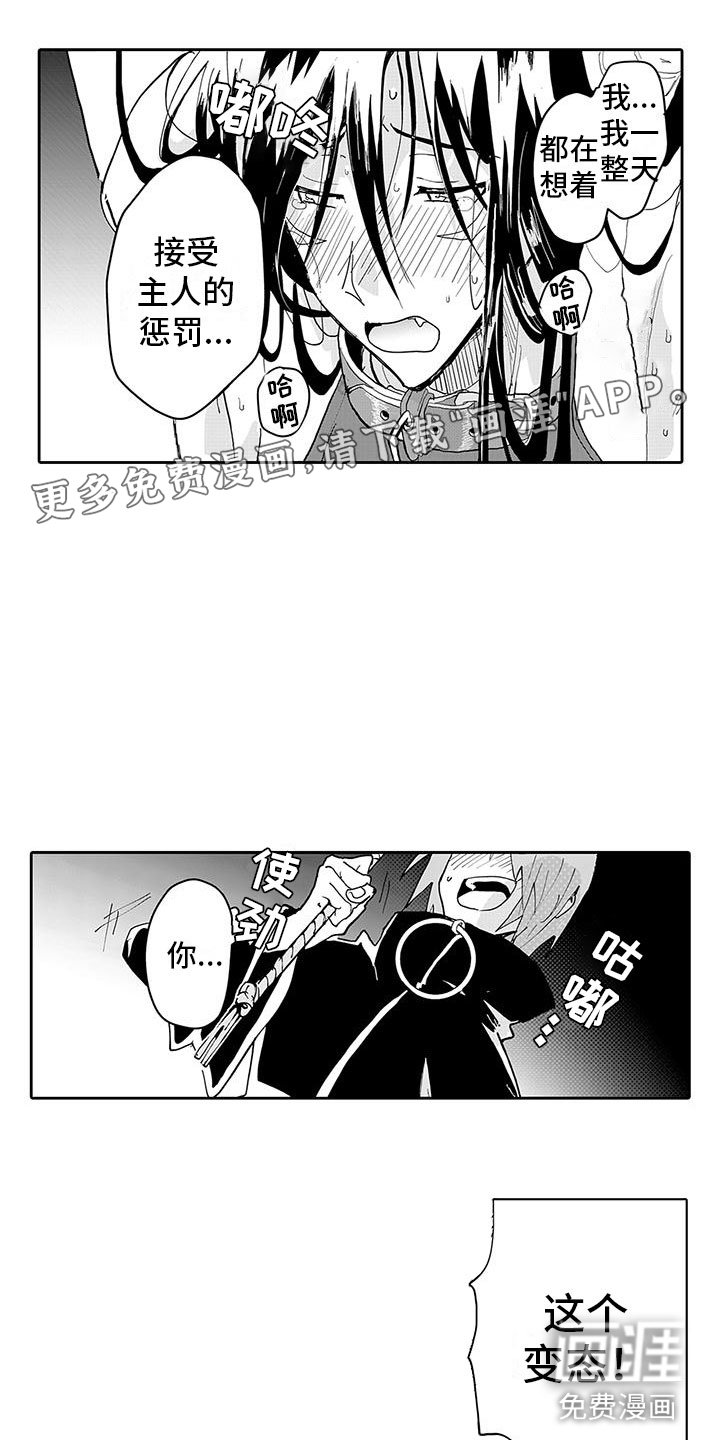 第5章：两面魔王