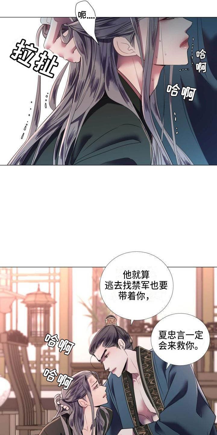 第1章：雨林抓捕