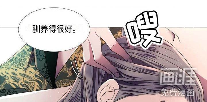 第11章：为他而生（完结）