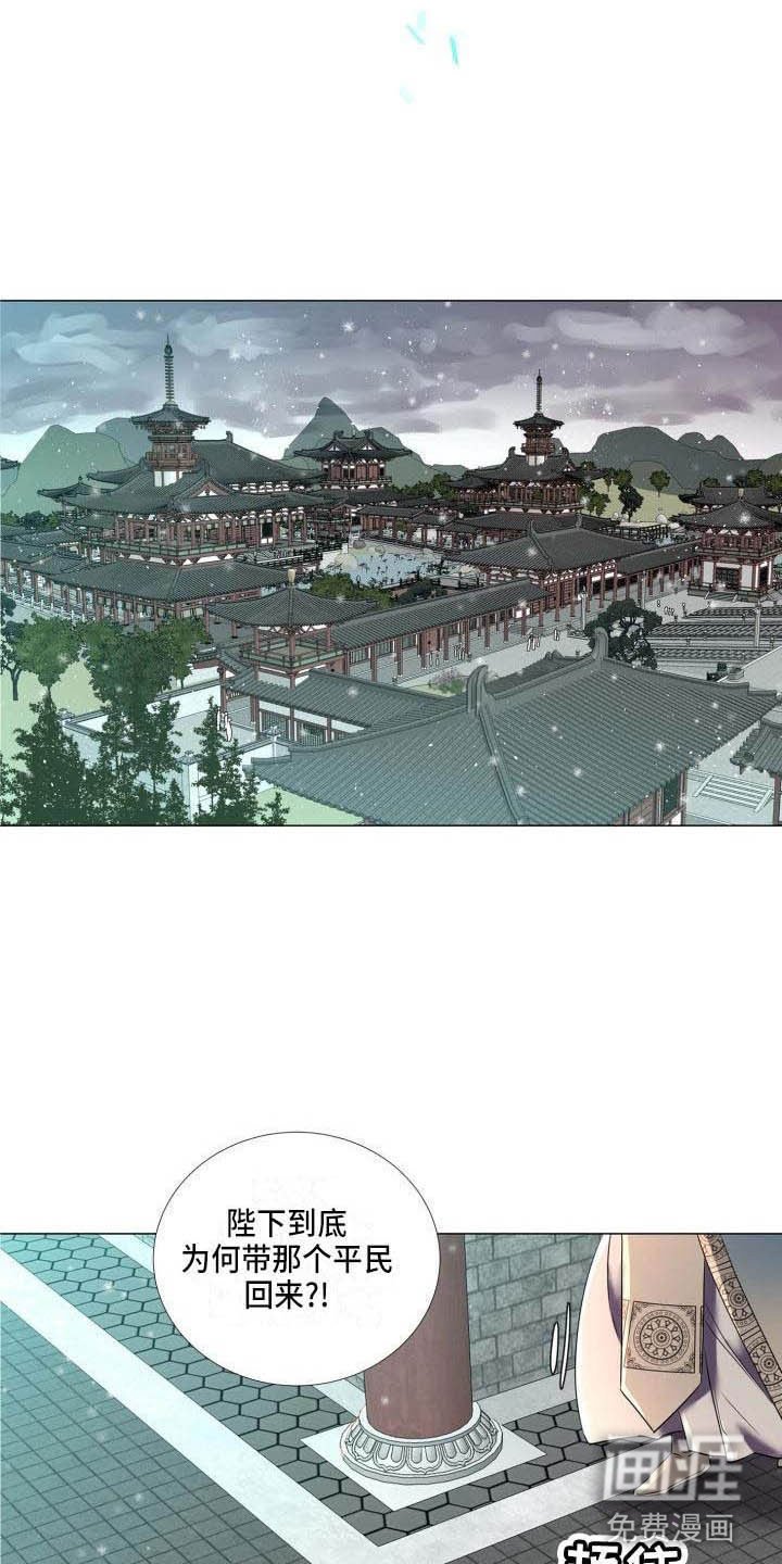 第5章：这是梦？