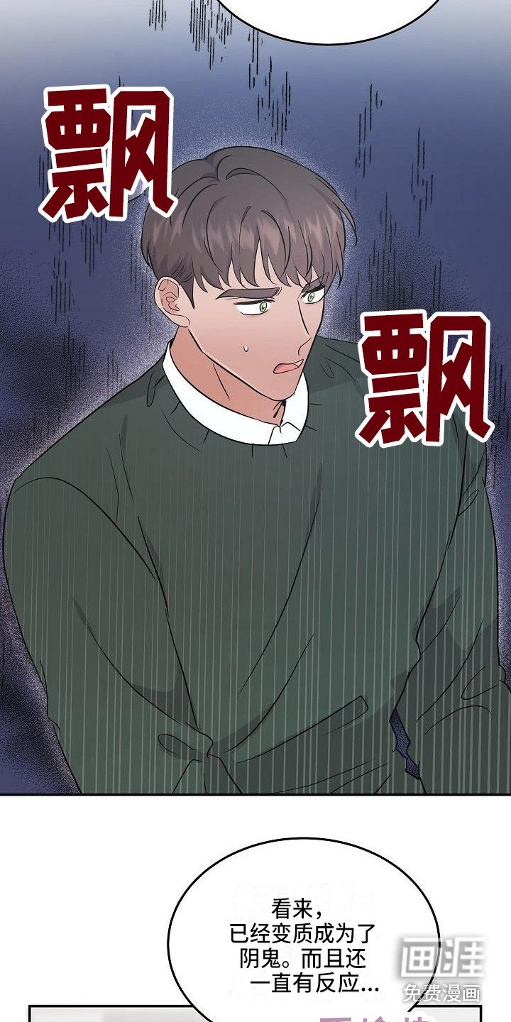 第13章：解释