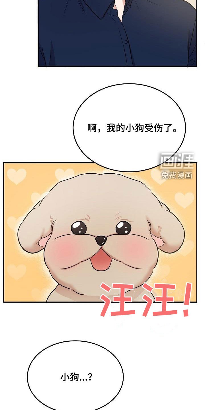 第28章：道歉