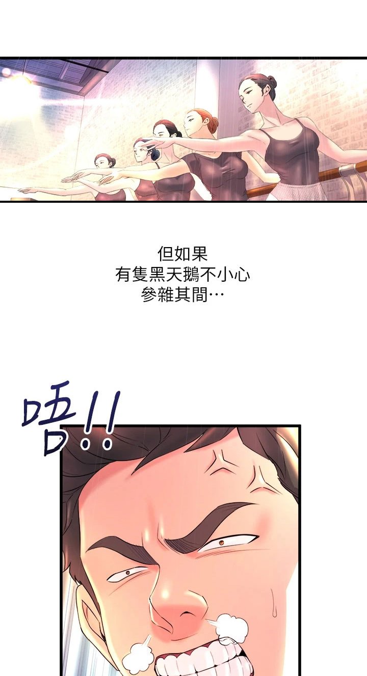 第1章：黑天鹅
