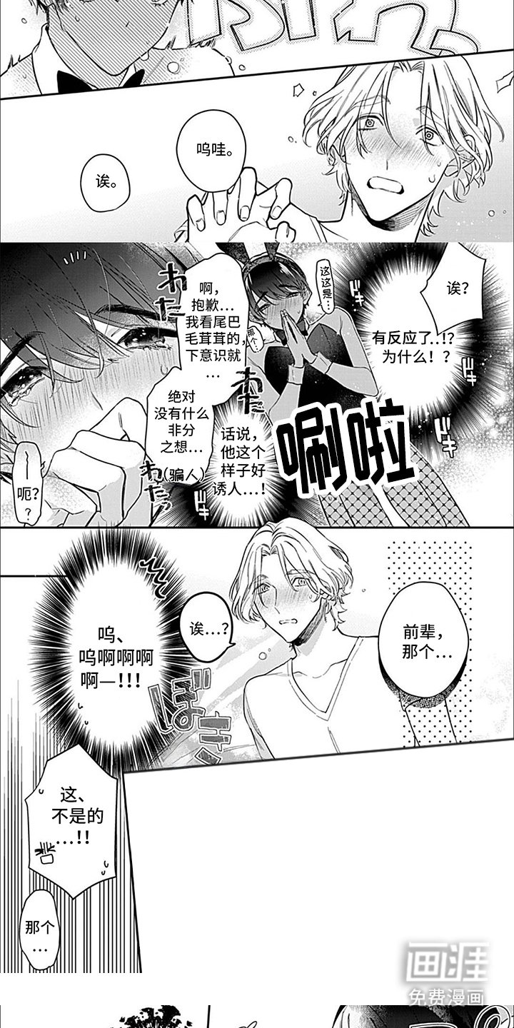 第11章：兔女郎（完结）
