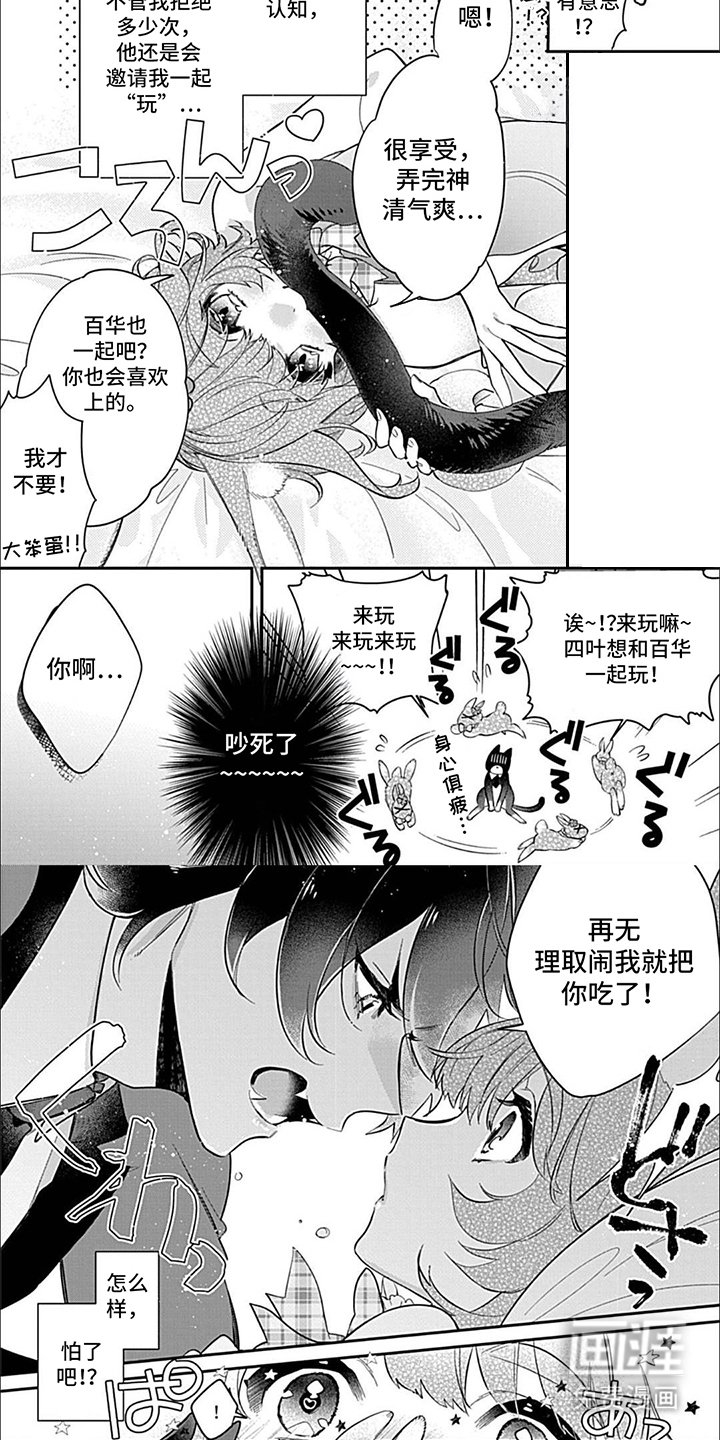 第7章：猫与兔子