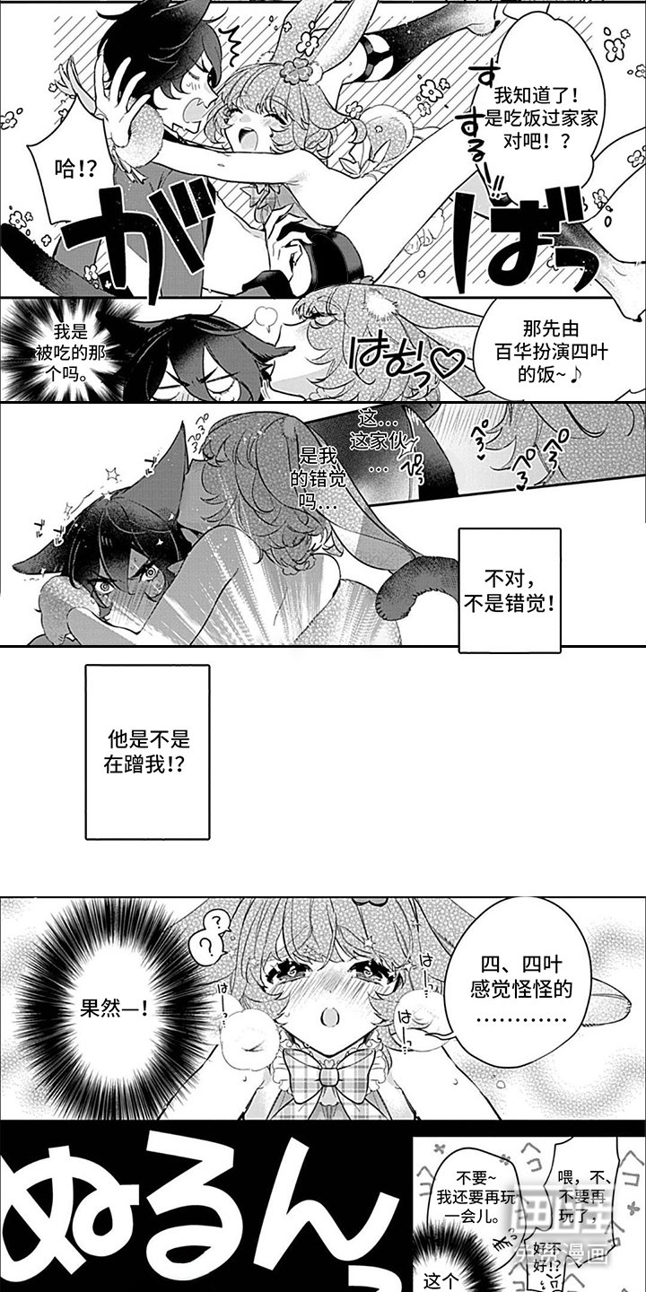 第7章：猫与兔子