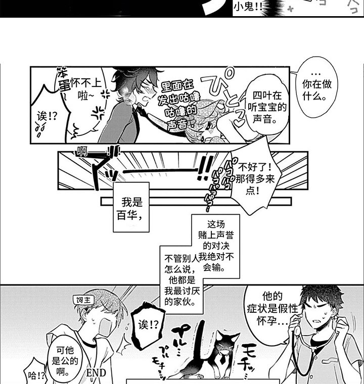 第7章：猫与兔子