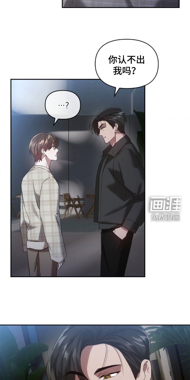 第31章：寻找