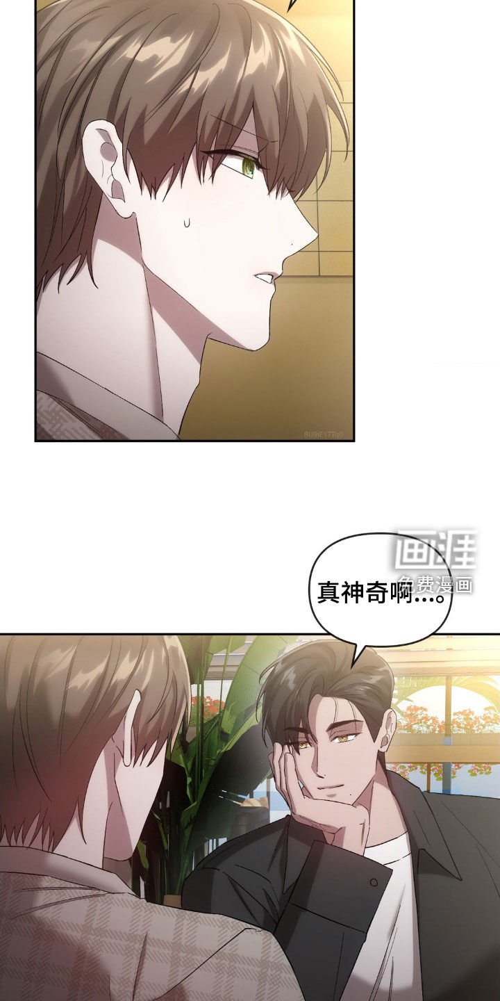 第31章：寻找