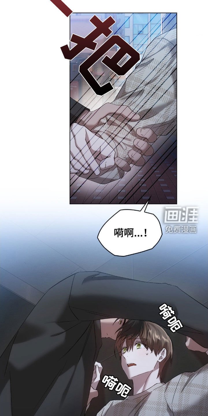 第31章：寻找