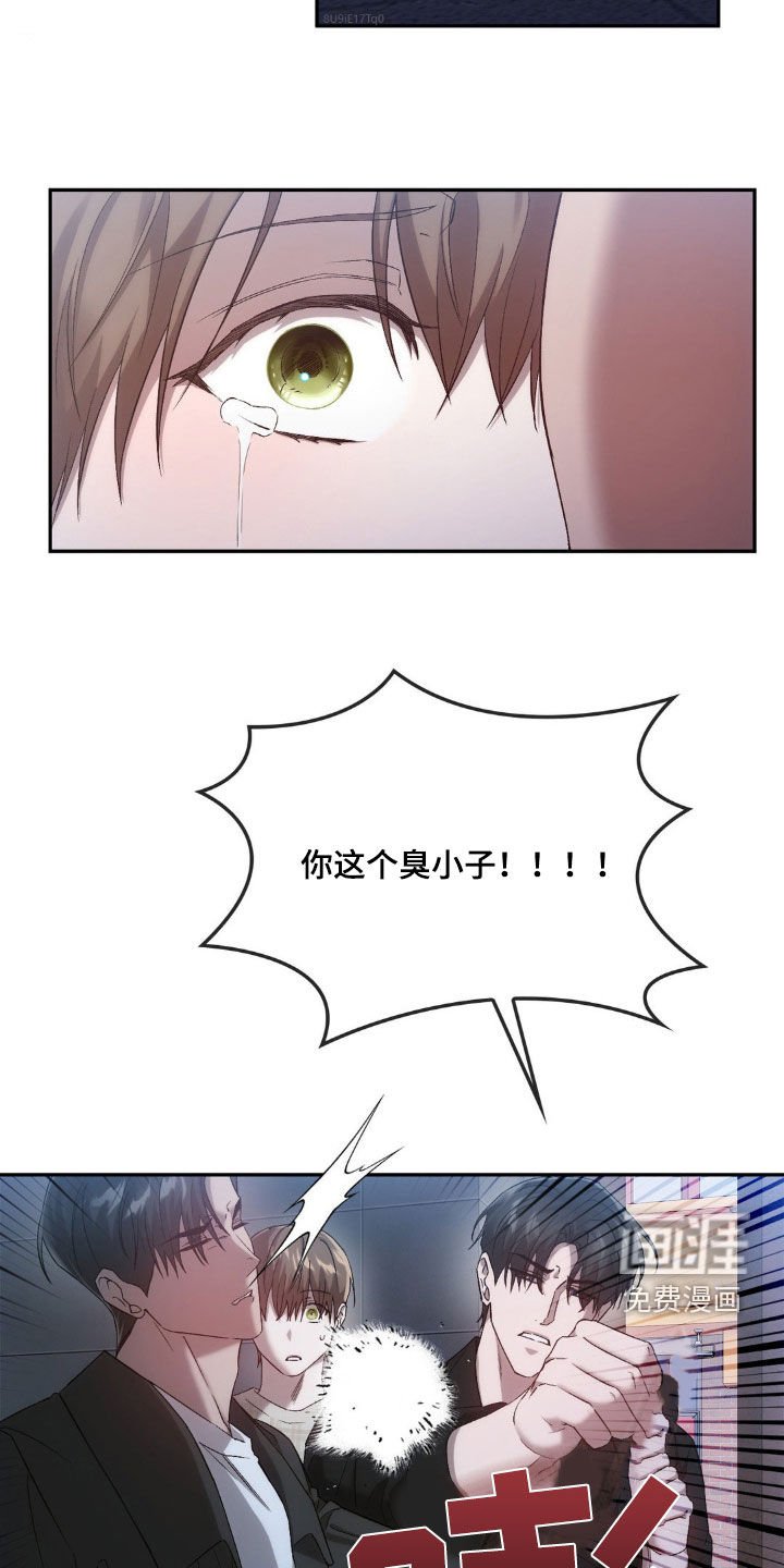 第32章：替代品