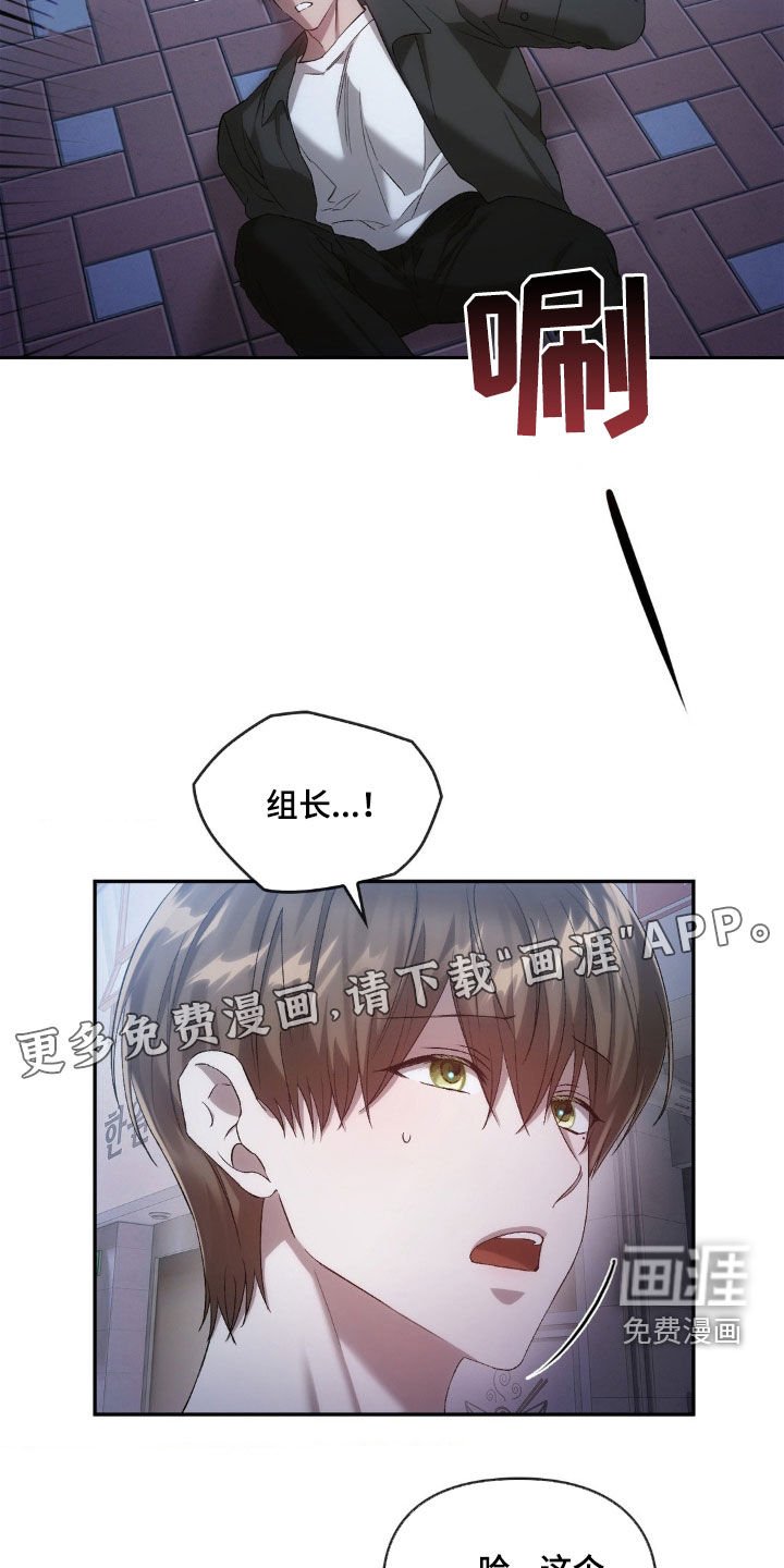 第32章：替代品