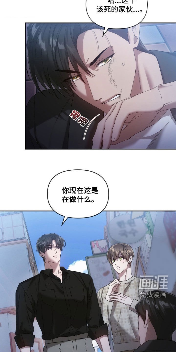 第32章：替代品
