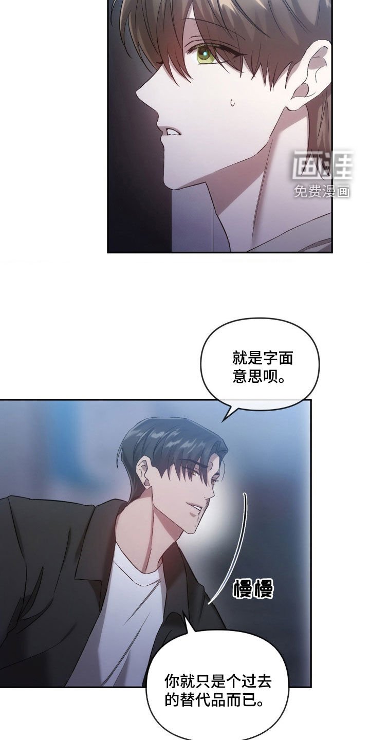 第32章：替代品