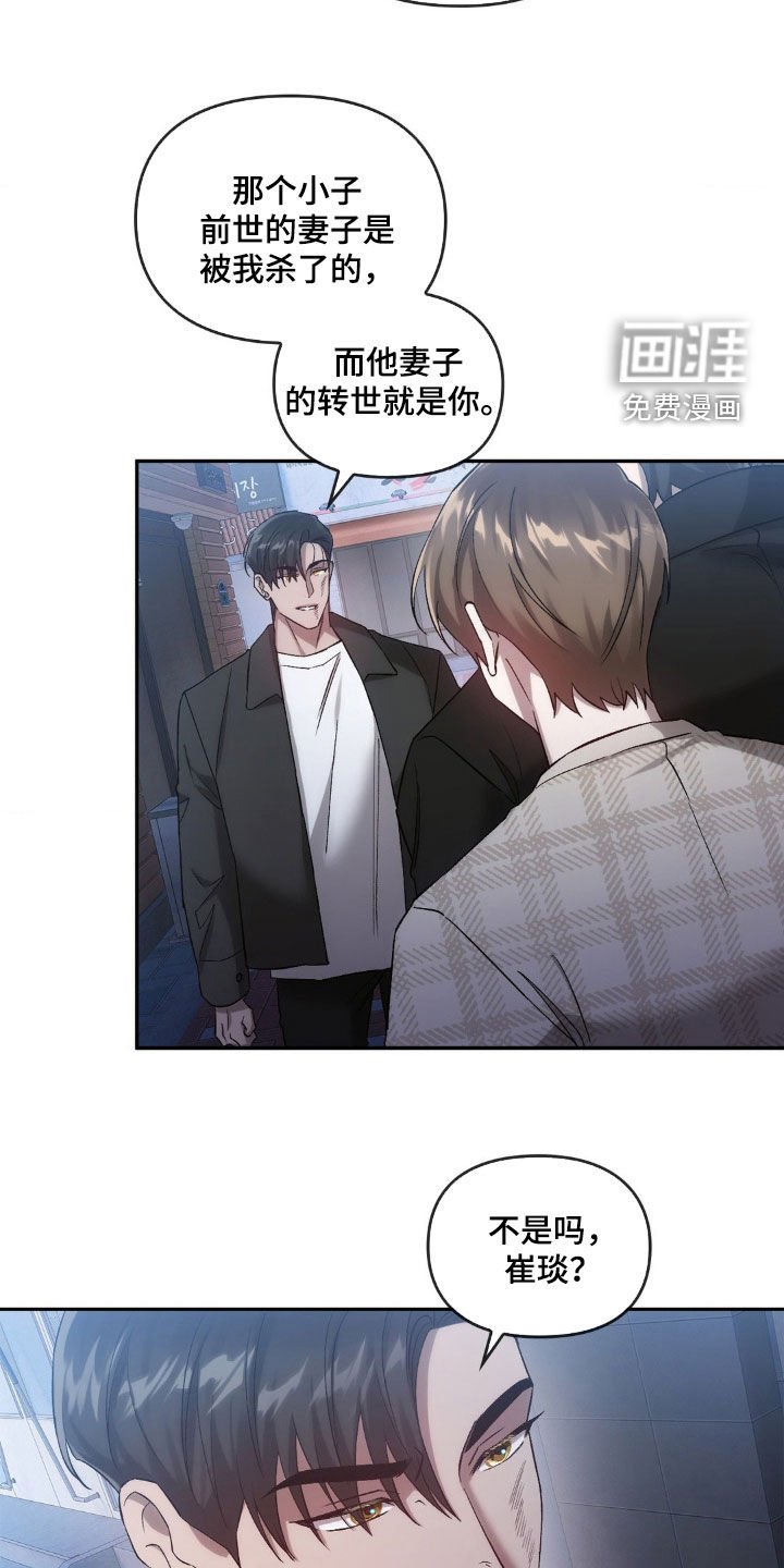 第32章：替代品