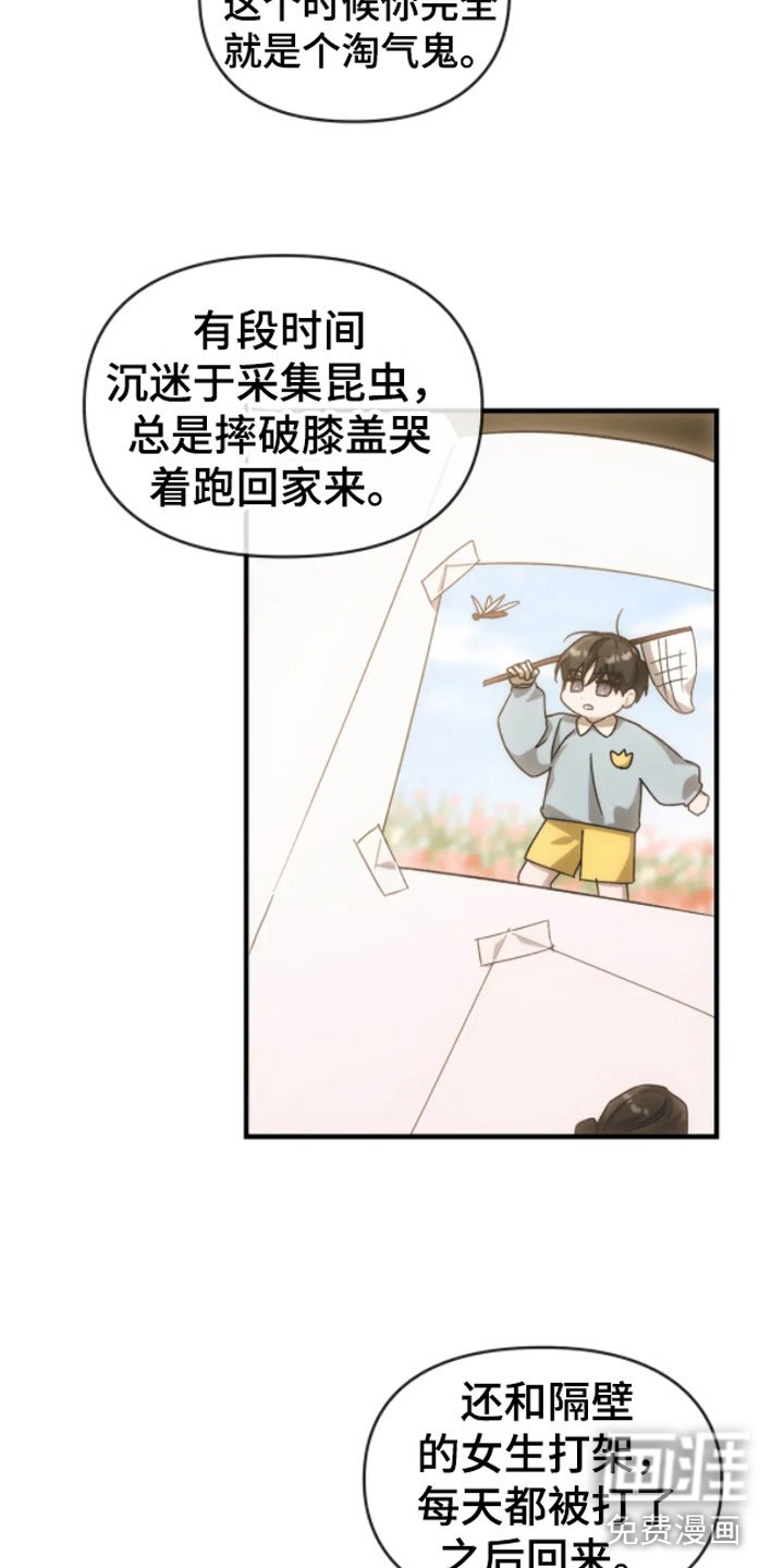 第8章：历史