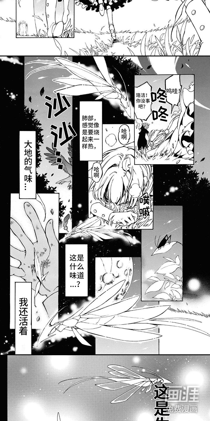 第5章：生命的气息