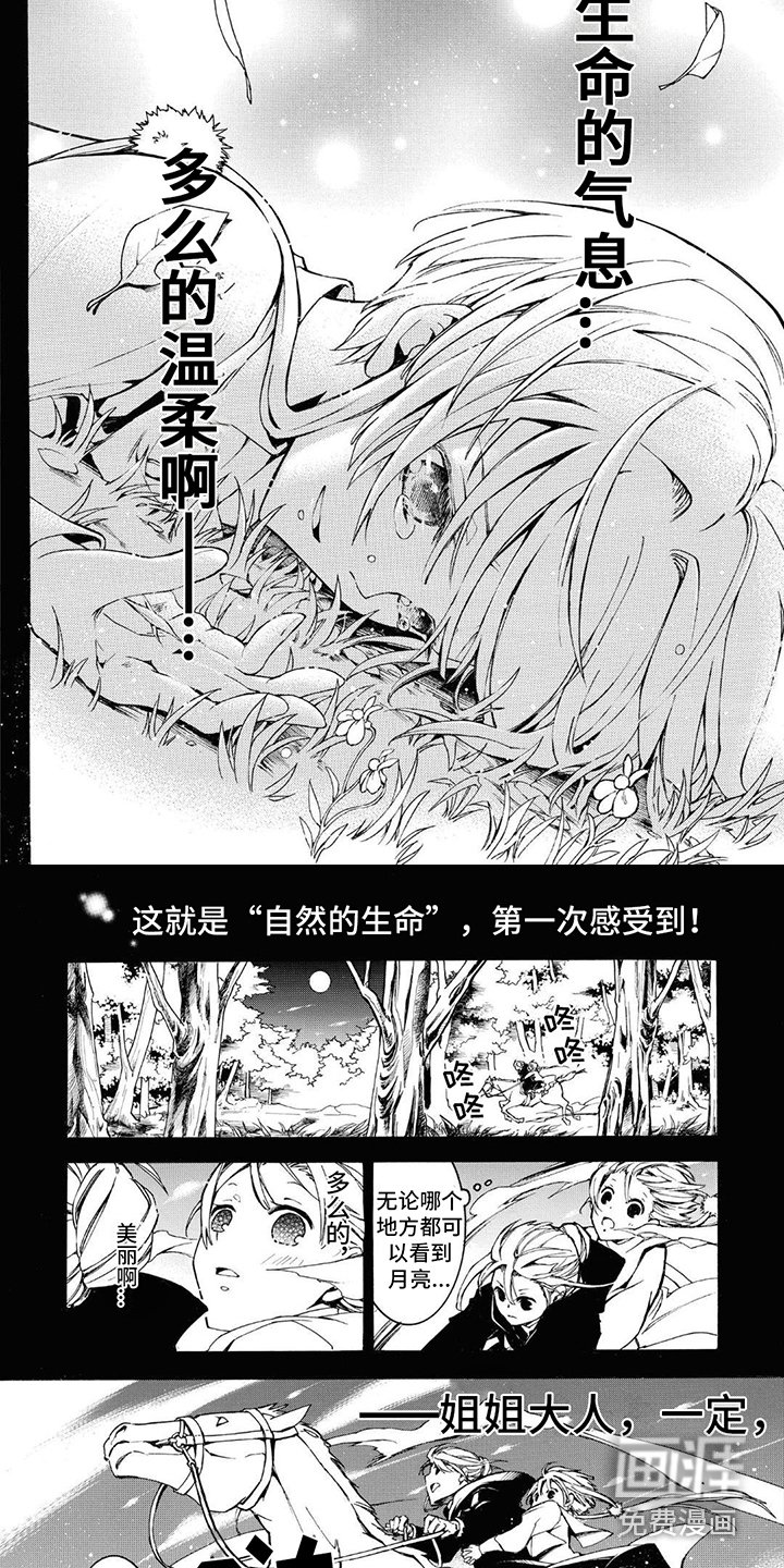 第5章：生命的气息