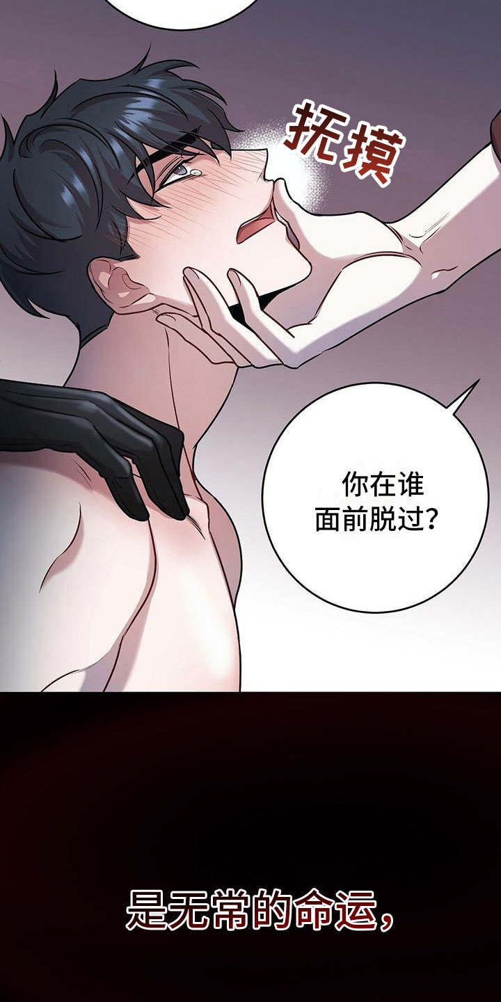 第1章：无序的命运