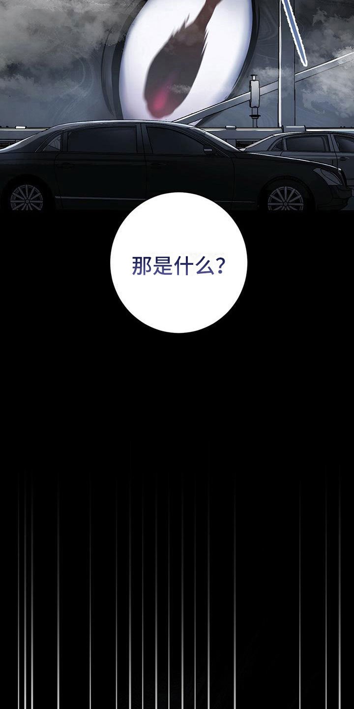 第1章：无序的命运