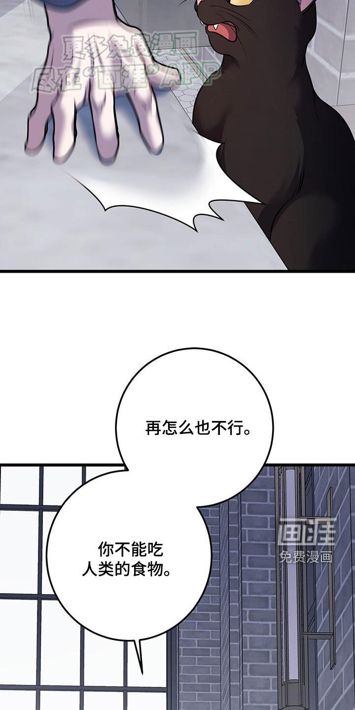 第102章：回不到过去