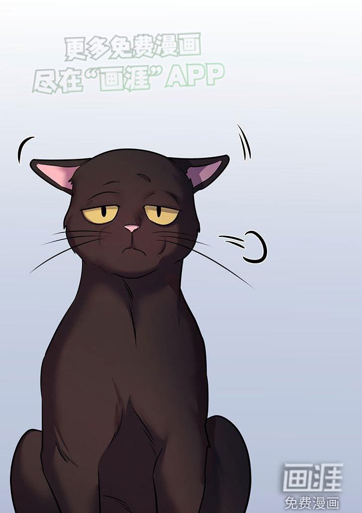 第102章：回不到过去