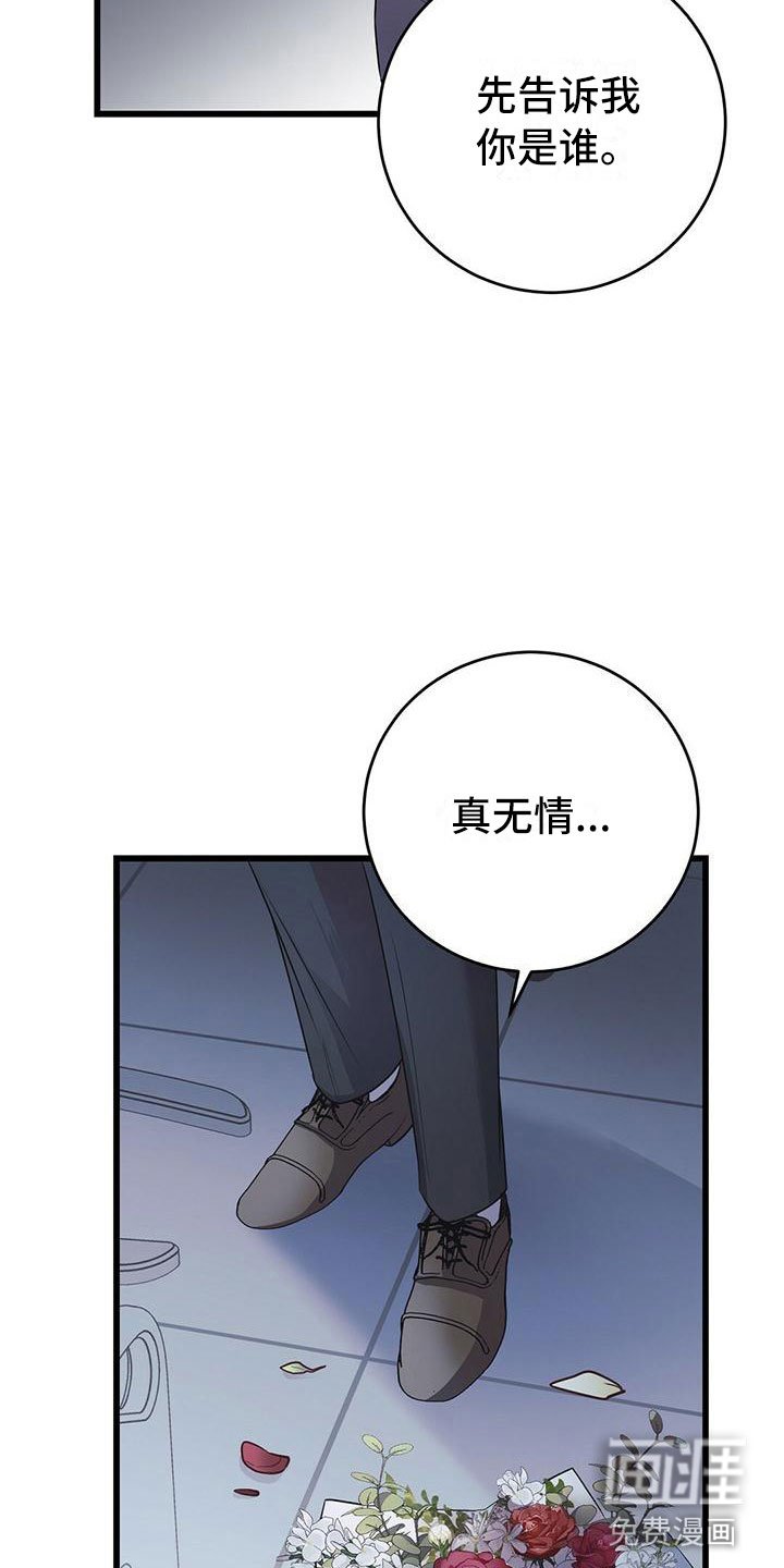 第11章：囚笼再会