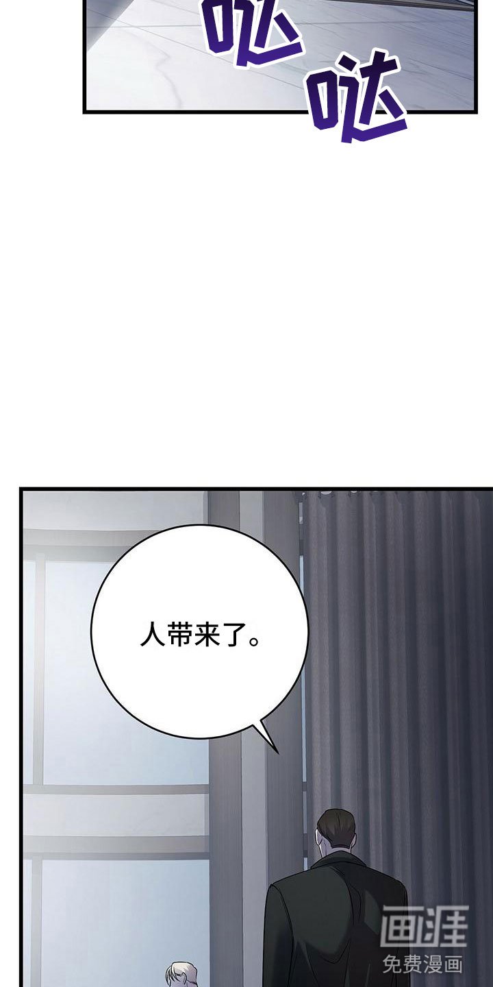 第17章：检查