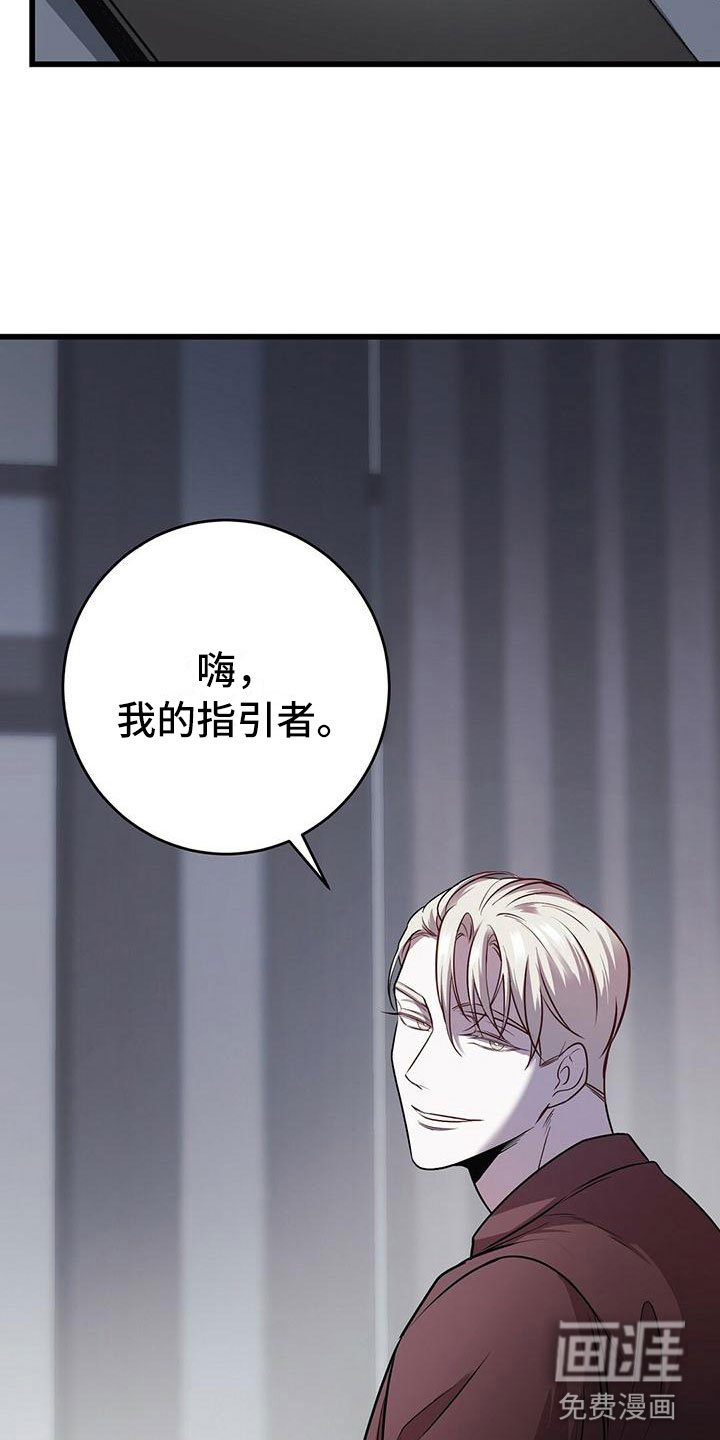 第17章：检查