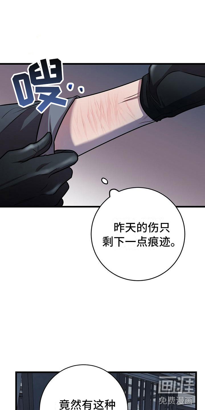 第19章：触底反弹
