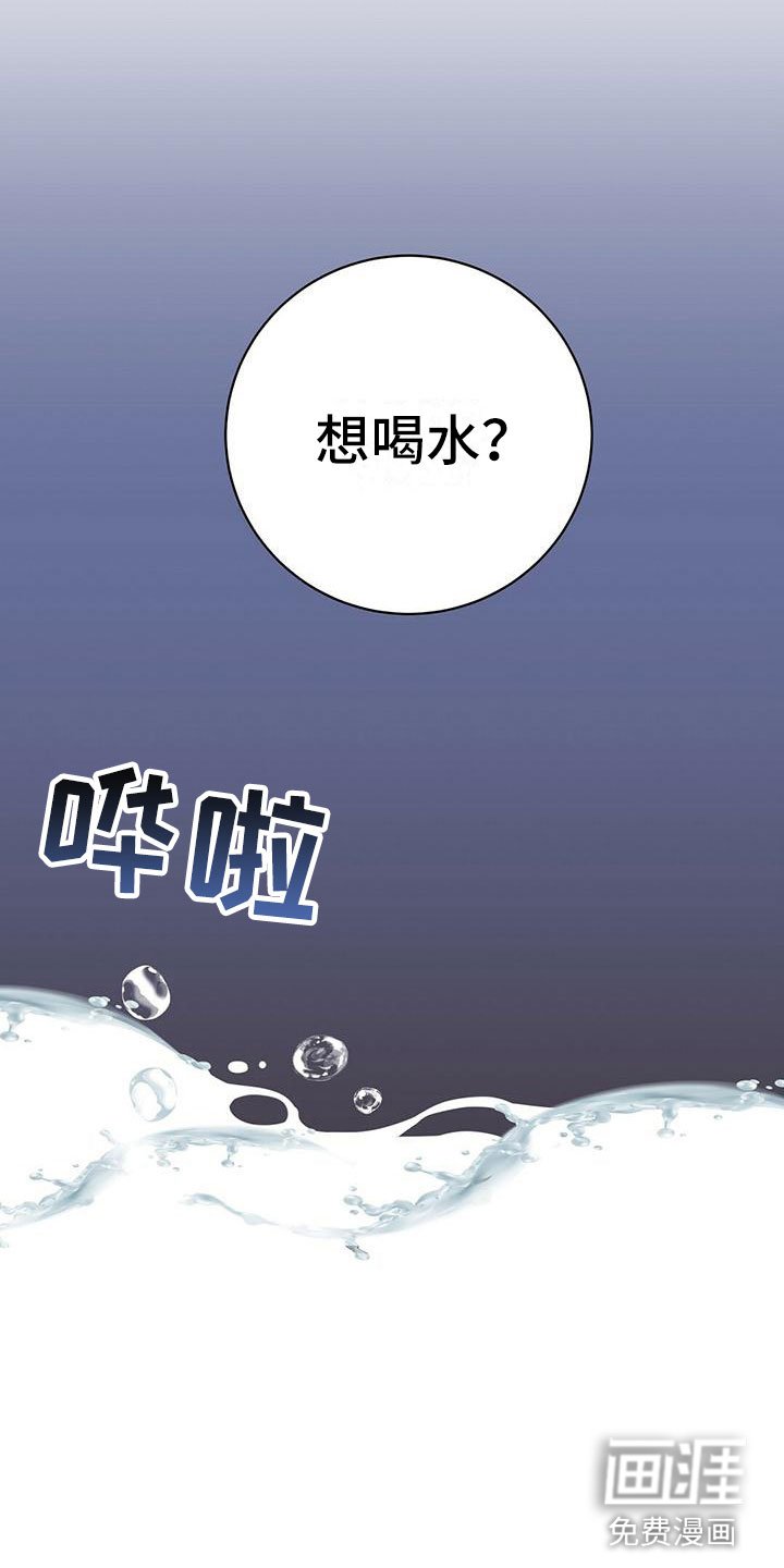 第19章：触底反弹