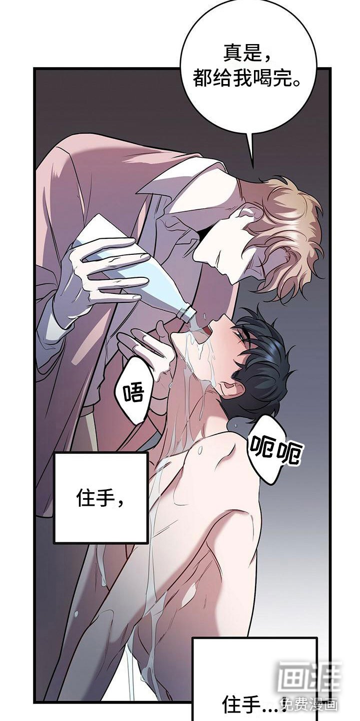 第19章：触底反弹