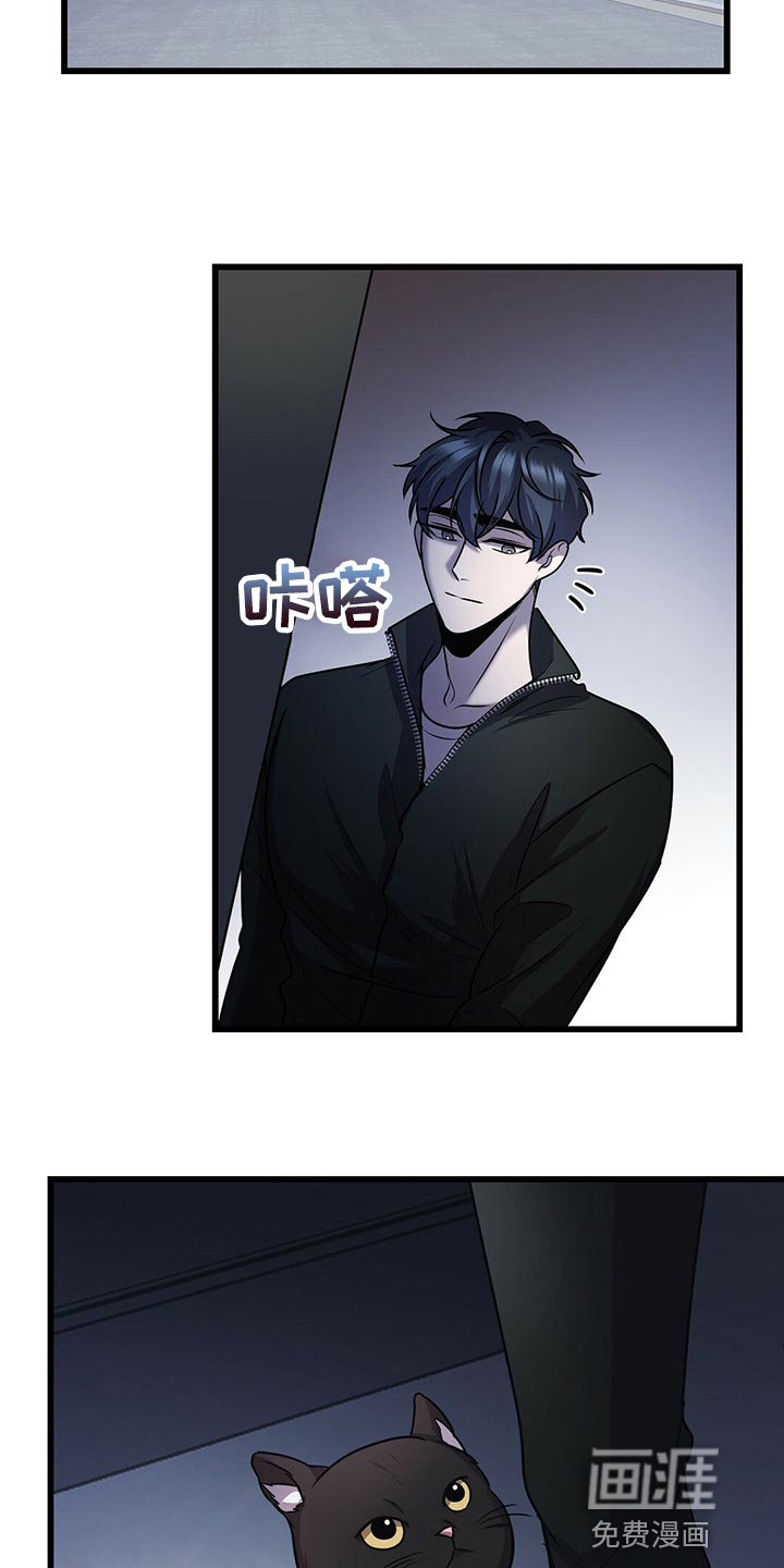 第26章：黑猫